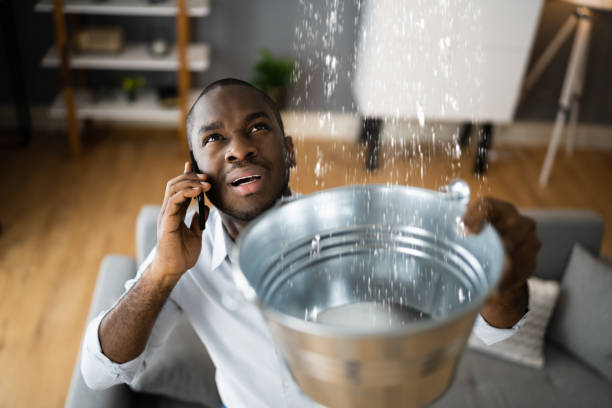 Best Ceiling water damage repair  in Naples, TX