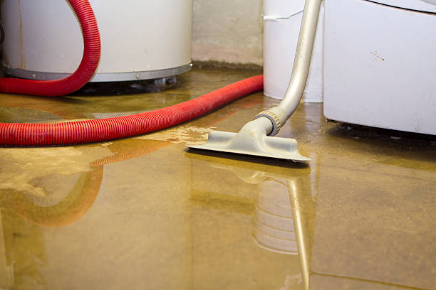 Best Commercial water damage restoration  in Naples, TX