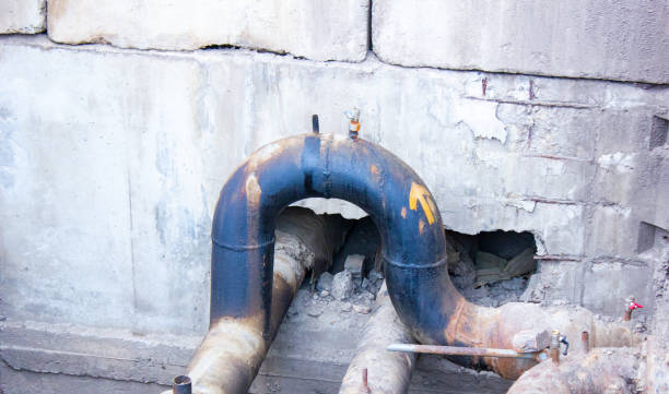 Best Flood damage cleanup  in Naples, TX