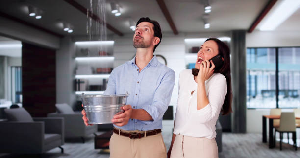 Best Residential water damage restoration  in Naples, TX